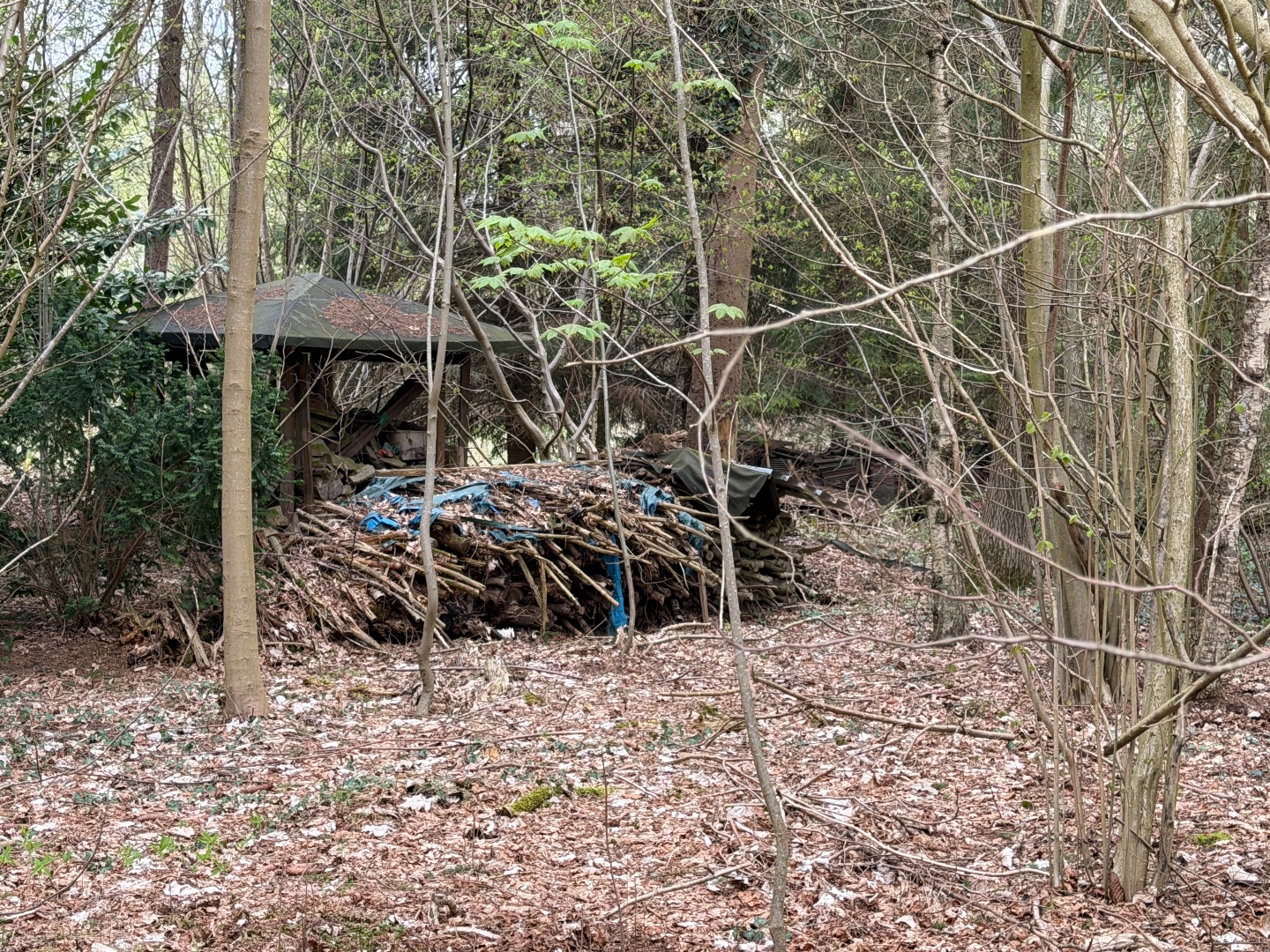 Unterstand und Holzlagerung